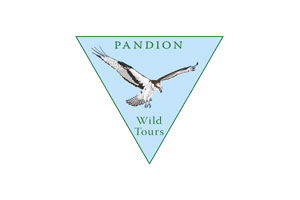 Pandion Wild Tours